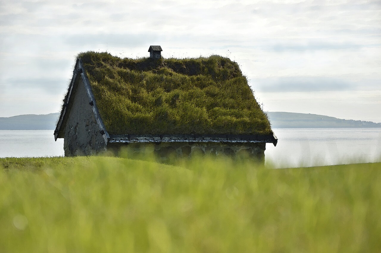 Small cottage with green roof
